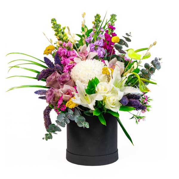 Kutuda zel Tasarmlar